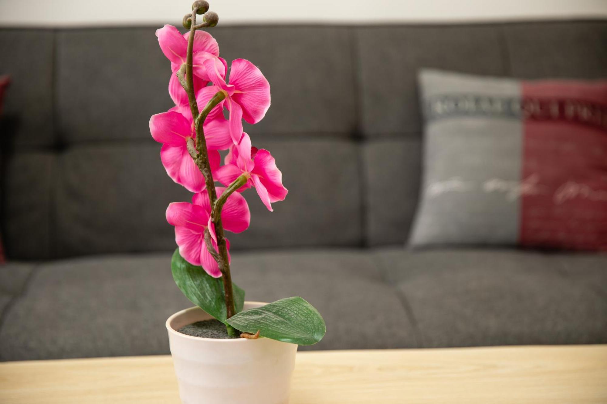 Apartment Rueppgasse Leopoldstadt Wien Εξωτερικό φωτογραφία